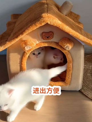 宠物小房子窝好看又舒适,保暖又实用,猫狗都喜欢#宠物窝#猫窝#狗窝#猫咪房子#萌宠