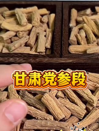 甘肃党参段100克8块8包邮👉买越多越划算🥰 买来泡酒炖汤煮水喝都可以👍👍👍😍#土特产干货 #甘肃党参段 #纯天然无添加 #党参段 #甘肃岷县党参段