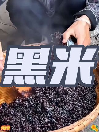 黑米