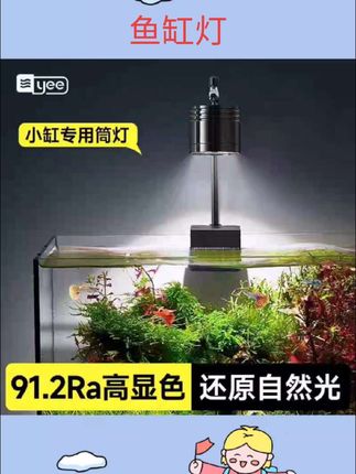 yee水草灯爆藻草缸灯铝合金支架发色小筒灯防鱼缸灯吊灯流溪缸#鱼缸灯 #水草灯 #宠物用品