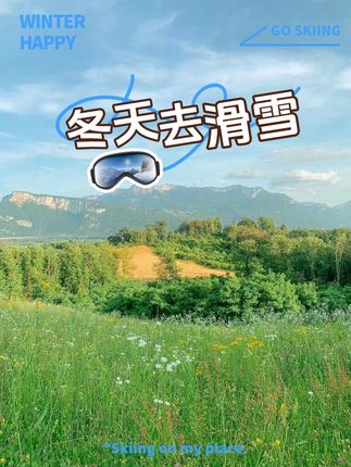 巴西人如何都想不到,他们独产捞金的巴拉那松子,竟被大面积种植在我国云南!#巴拉那松子 #巴拉那松