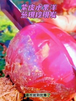 #紫皮洋葱 #水果洋葱 #健康一夏吃出美 #无限回购的宝藏单品 #婷婷超爱吃52521 @DOU+小助手 @巨量千川 紫皮洋葱,现挖现发,新鲜汁水丰富,色泽艳丽,微甜微辣,散发着自然的果香,肉质脆嫩,鲜甜多汁,超级好吃!赶紧来尝尝吧!