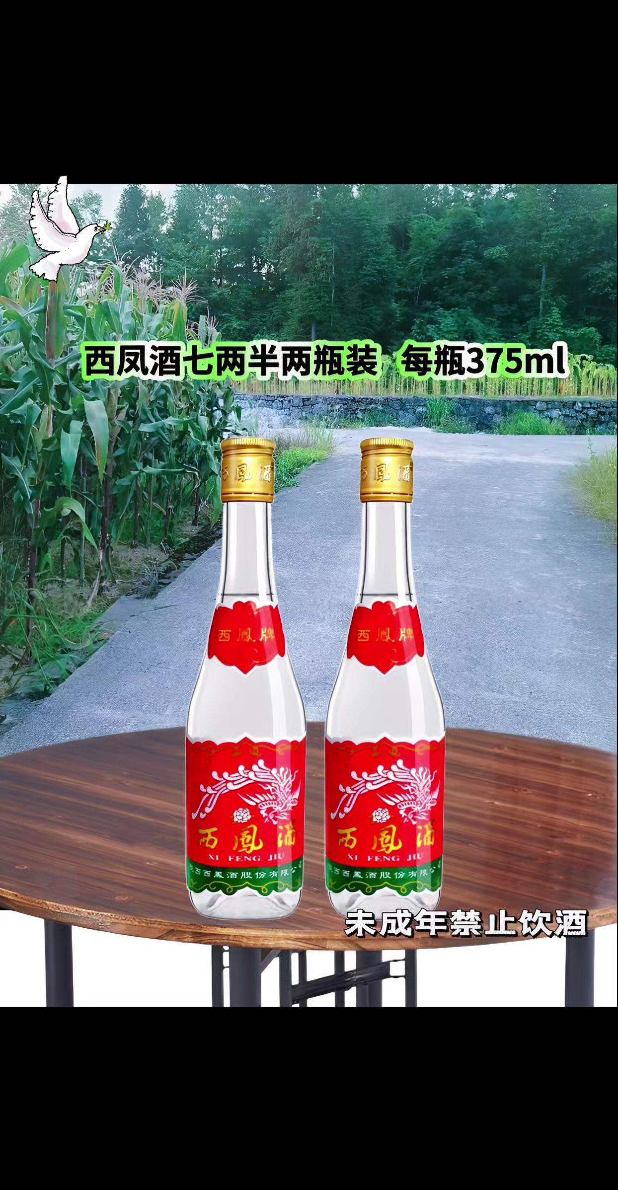 西凤酒375:二两闲愁,半盏秦风 陕地粮心凝萃,45度凤香正好。375ml的精巧瓶身,藏着七分醇厚、半两清冽,恰是日常小酌的贴心分量。 开瓶便闻粮曲交融的复合香气,入口绵柔不刺喉,中段凤香渐显层次,落口回甘带着淡淡粮甜。两只瓷瓶成对,无论是独酌解乏,还是与挚友浅饮,都能在温润酒体里品出陕派白酒的风骨。 清澈酒液入杯,酒花细密持久,无需繁复仪式,日常一餐一酒,便把平凡日子过出几分雅致秦风。#西凤酒#凤香纯粮白酒#口粮酒 #纯粮酿造好喝不上头