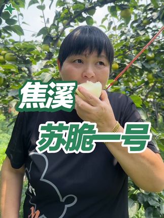 吃梨啦,焦溪苏脆一号,每年7月初自然成熟,特点就是皮薄汁多,嫩,脆,甜,吃上去无渣,舜山脚下种植,有爱吃梨的朋友可以入手哟!8只装9只装适合送人,10只装,12只装适合自己吃!周期短,可能再有一周就结束了,所以刷到就入手吧!全部顺丰包邮到家!#焦溪蜜梨 #苏脆一号