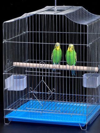 #鸟笼#鹦鹉鸟笼#鸟笼#笼子#鹦鹉🦜