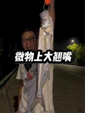 #微物路亚 #路亚翘嘴 #路亚软饵 #辉仔路亚