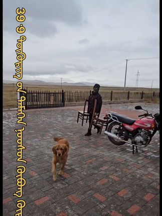 39.9驼绒棉外套#秋雨 #棉袄