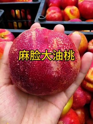 麻脸油桃,别看它长得丑,味道是真的没话说!桃味特别浓郁,而且汁水超多,一口下去就像在喝鲜榨的桃汁一样。一年就这一季,自然成熟不催熟,趁着应季赶紧给家里人安排上!#快来一起尝个鲜 #优质农产品 #超便宜超划算 #应季水果 #强烈推荐