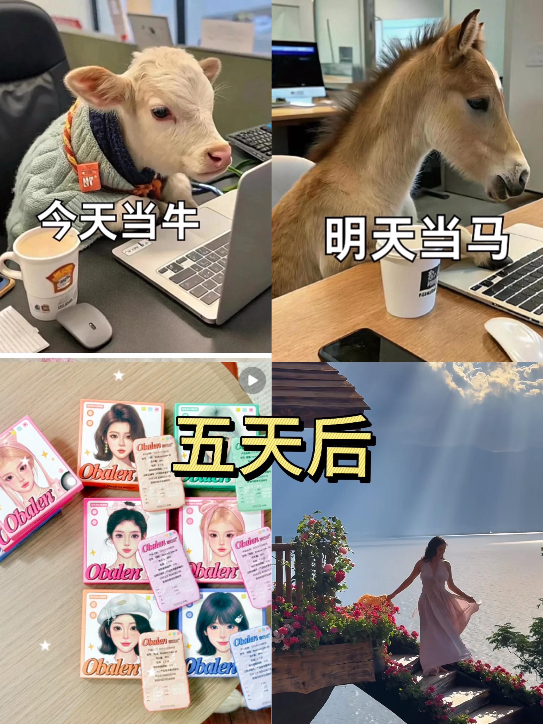 还有五天就是小长假了。 你确定不囤一款#欧巴兰 超大直径美瞳吗?#美瞳好物推荐 #超大直径美瞳 #国庆出游 #女生必备