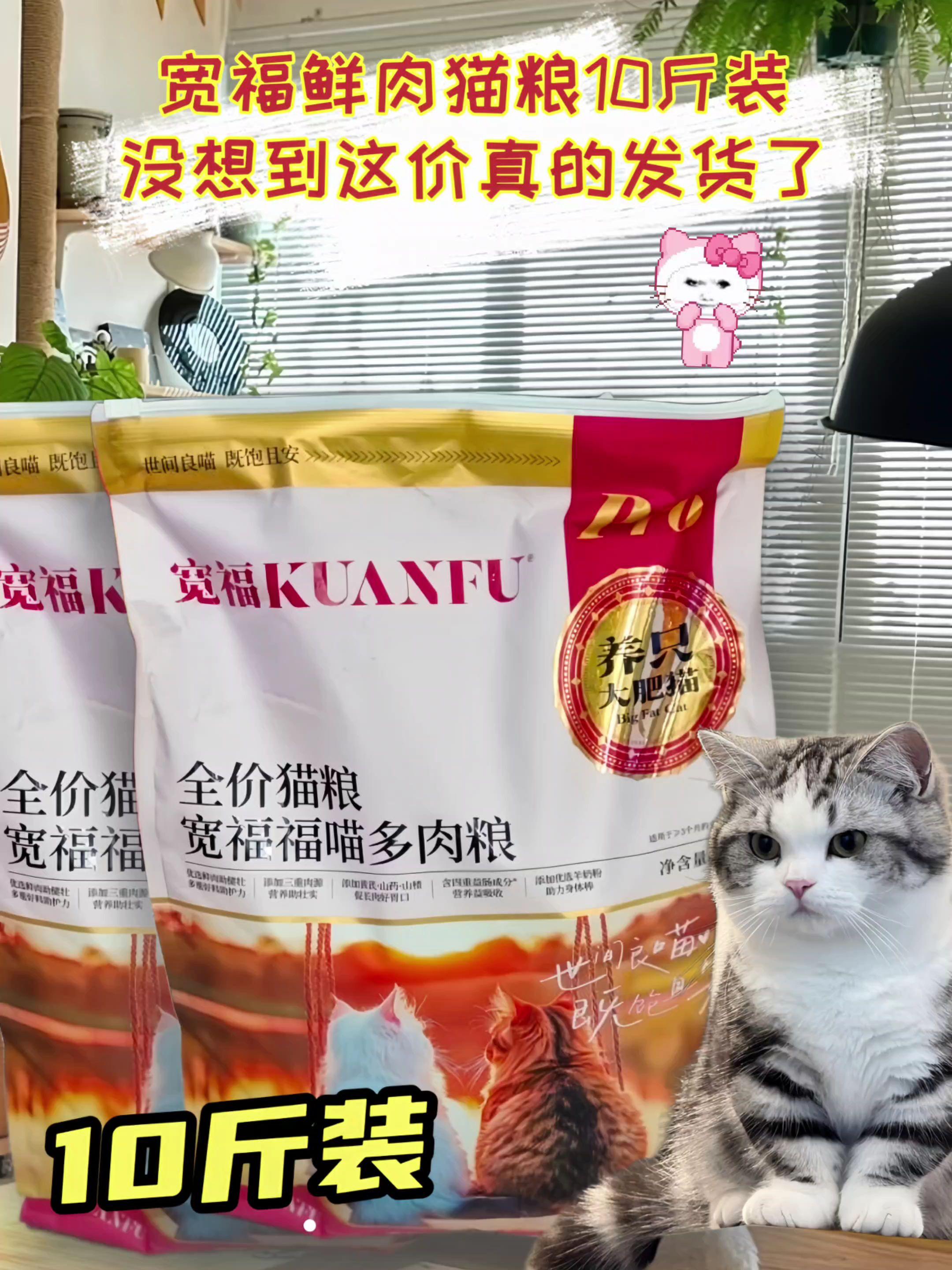 养猫的朋友们看过来!宽福新出的十斤装鲜肉猫粮太可了,价格优势直接拉满,眼下库存已经快见底!趁现在还有货,赶紧给家里喵主子囤上,吃着合适~ #宽福 #猫粮推荐 #新手养猫 #好物推荐🔥 #猫粮