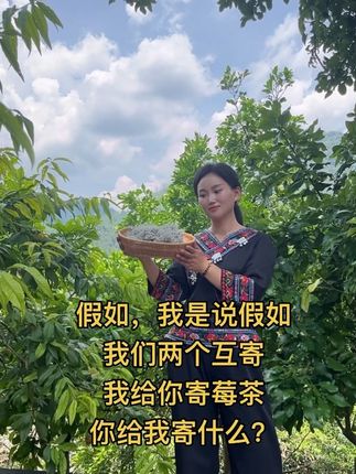 假如我们两个互寄,我给你寄永顺莓茶,你给我寄什么呢?评论区聊聊#我的乡村生活 #我为家乡代言 #原创视频 #莓茶 #喝茶