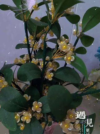 时光一去不复返珍惜当下的每一天