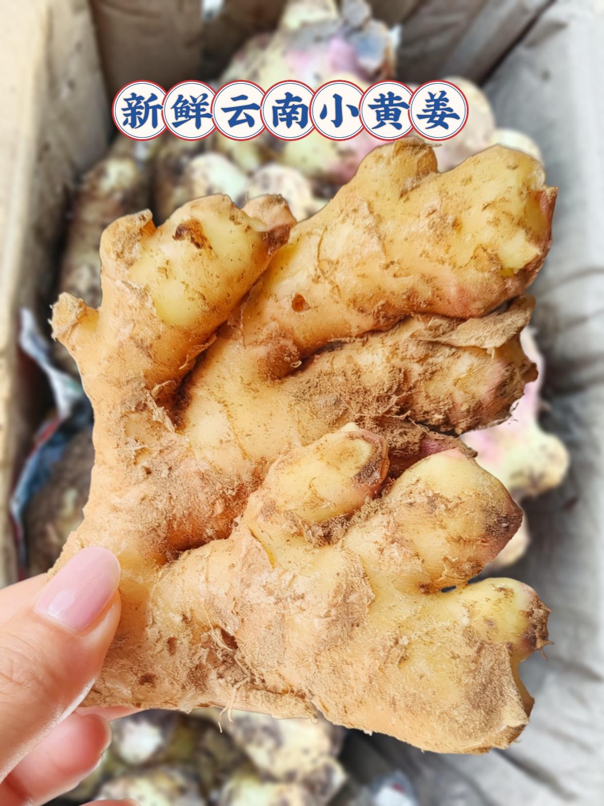 云南小黄姜,姜切片炒菜煲汤都很香#优质农产品 #夏日开胃菜 #原产地 #强烈推荐 #农副产品