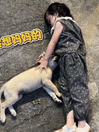 村里来了一只陌生小狗,妹妹马上找食物喂它,说它应该会想妈妈,躺下陪它它就不害怕了,不到5分钟,小狗就一直跟着妹妹不愿离开#中华田园犬 #狗狗 #女儿 #南宫问雅 #流浪狗