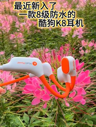 你今天跑步了吗?再也不用担心一个人跑步无聊了,最近新入手了一款8级防水可游泳的升级蓝牙6.0 耳机,16级大音量, 10小时超长续航,智能一拖二,还可以同时连接两个设备,32G大内存,长时间佩戴无晃动,舒适无束缚感,不用带手机也可以跑步听歌啦!#快乐跑者 #爱运动的小姐姐 #上热搜 #传递奔跑的力量 #每日分享