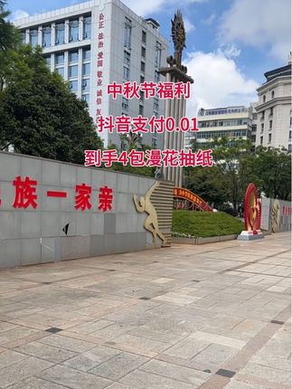 #抽纸#漫花抽纸 #好用的大包纸巾推荐 #新人福利第一单 #超划算超便宜