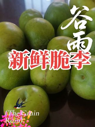 新鲜脆李,好脆好甜#