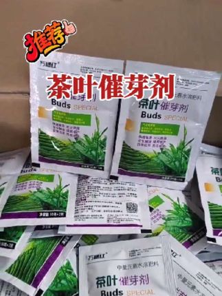 茶叶催芽剂它具有催芽壮芽促进茶树早发芽多发芽叶片嫩绿肥厚品质好口感好增产增收#农资肥料 #茶树管理#茶叶催芽壮芽 #茶叶催芽专用肥@DOU+小助手