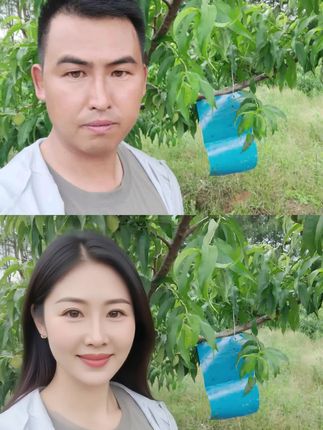 ##ai性转解锁隐藏颜值#生态农业 #一分耕耘一分收获 #果树管理