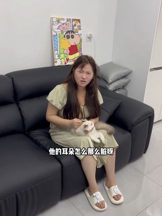 猫咪拿头蹭你可不是卖萌!小心耳螨在作祟!#养猫人 #萌宠好物 #萌宠好物 #猫咪 #新手养猫