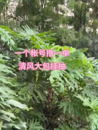 清风悬挂抽纸大羊毛快薅#清风抽纸 #抽纸 #大包型抽纸