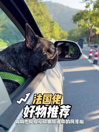 马上国庆节啦,又可以带毛孩子出门玩耍了,家有晕车的毛孩子看过来,防晕车喷雾不要太适合,清爽的气味能防止宠物晕车,假期前快快入手吧#猪妞 #养狗经验分享 #法斗 #我和我的狗 #带宠物旅行