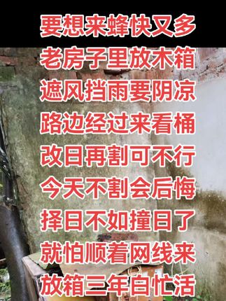 #养蜜蜂新手入门教程 #我的农村生活 #原创视频 #日常生活 #大自然的馈赠