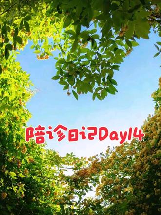 #上热门 40岁学做陪诊晚吗?有和我一样的吗?评论区聊聊吧!#让世界充满爱 #宣传正能量 #陪诊 #中年少女
