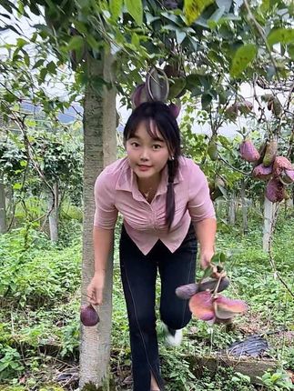 农村人 外地的朋友, 你们那边有没有这个芒果 呢?#我的乡村生活 #八月瓜水果