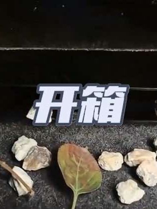 捷途旅行者车主注意!出风口保护罩轻松安装,防杂物、防堵塞,守护爱车空调系统!#捷途旅行者 #出风口保护罩 #防杂物 #防堵塞 #汽车配件