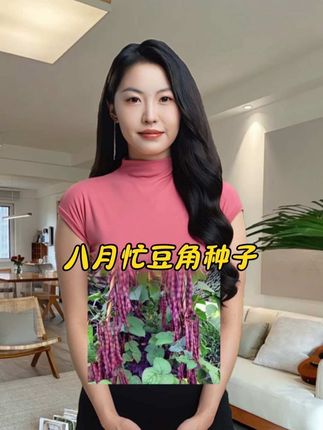 ##八月忙豆角种子 耐热耐寒,无筋无丝产量高#冻死鬼豆角#豆角种植 #紫芸豆 #蔬菜种子