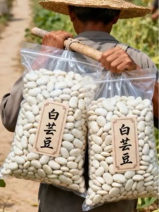 厨房宝藏!云南新鲜白芸豆颗粒 家人们快看这白芸豆!颗颗饱满滚圆,色泽洁白透亮,产地直采无杂质,开袋就是自然豆香。 泡发后肉质细腻,炖排骨吸满肉香超入味,煮粥加一把口感粉糯,做豆沙也清甜。吃法超多还百搭,全家都爱吃,现在囤超划算,赶紧冲!#白芸豆 #五谷杂粮 #粗粮 #好吃到停不下来 #超便宜超划算