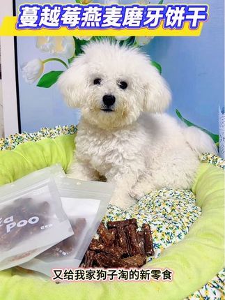 我家小狗最近爱上了这个蔓越莓的燕麦磨牙饼干。酥酥硬硬的,很有嚼劲,边吃饼干的同时,然后边磨小牙齿,把牙齿都磨的白白的。#萌宠 #狗零食 #科学养宠 #匹卡噗磨牙棒 #萌宠好物