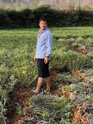 罗生虽然薅完了,但是说要下雨!估计俺爸俺妈还睡不着瞌睡!#日常生活 #纪录美好生活 #我的乡村生活 #助手抖音 #抖音热搜 @DOU+上热门 @裕达家电(闹饭公公小闺女) @小史店裕达家电