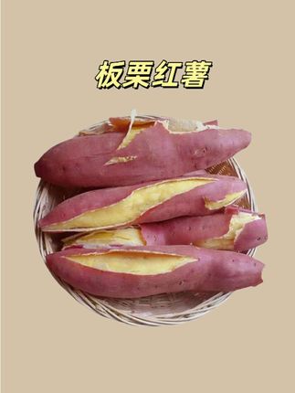 这个板栗红薯也太好吃了,粉糯香甜!#板栗红薯 #粉糯香甜 #红薯 #优质农产品