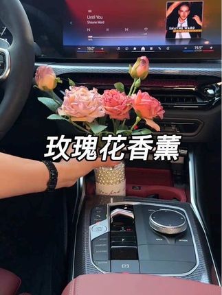 给车里放一束花吧~油画风格的水杯位装饰花束,给车内增添一份与众不同的优雅和浪漫#夏日花束 #小众花束 #车载花束摆件#创意摆件