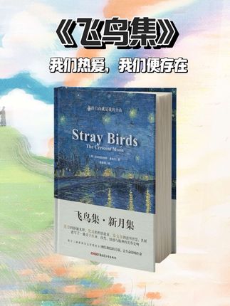 凌晨三点翻开这本书,突然被一行文字击穿了心脏❤️#书籍推荐 #莫奈梵高 #诗集