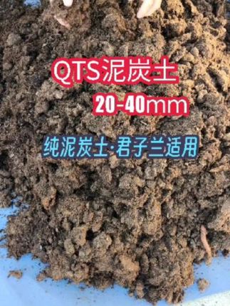 QTS泥炭土20-40mm,纯泥炭土,君子兰适用 #QTS泥炭土 #QTS泥炭土20-40mm #泥炭土种君子兰 #QTS泥炭土种君子兰 #子涵园艺QTS泥炭土