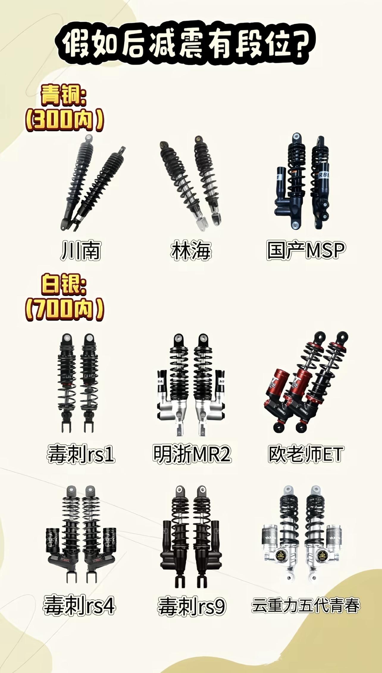 假如减震有段位。#减震 #后减震器 #小牛九号 #升级配件 #减震