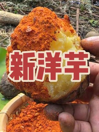 贵州老品种黄皮黄心洋芋,又粉又面又香#黄皮黄心土豆 #老品种洋芋 #贵州大洋芋 #土豆