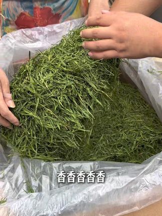 一款神奇的茶叶,茶友们要记得多喝,经常喝真的很好。#召唤茶友 #茶叶批发