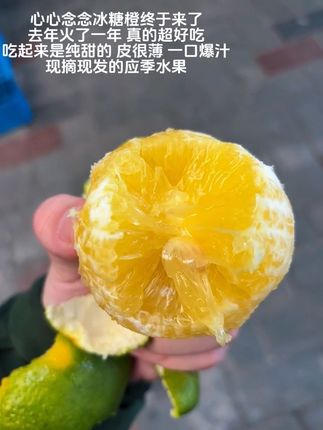 去年懂老师推荐超火的哀牢山冰糖橙,今年又来啦,云南有名的冰糖橙巨香甜!这款冰糖橙外表青绿!但是果肉甜蜜如冰糖,皮薄易撕,果肉细腻鲜甜多汁!清甜水润#冰糖橙 #哀牢山 #冰糖橙 #应季水果 #新鲜采摘 #优质水果