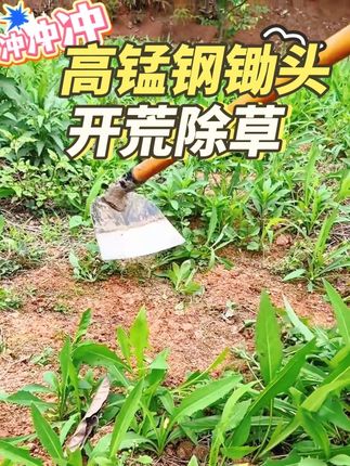 高锰钢锄头,开荒除草。#除草 #三农 #我的乡村生活 #开荒种地