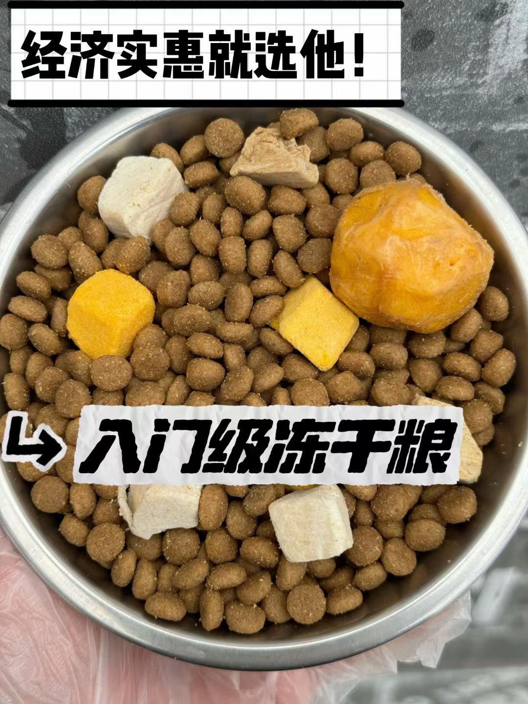#国产狗粮#小洋森#平价狗粮#长肉美毛狗粮#狗粮推荐