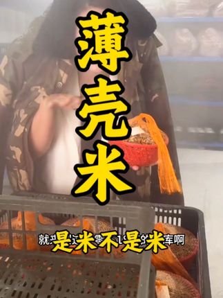 来一份家乡海边的美味#强烈推荐 #薄壳米 #我为家乡农产品代言