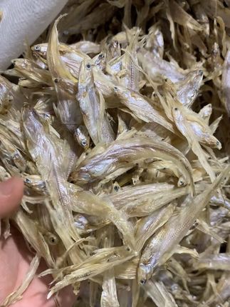 今年的新货毛刀鱼干,颜色白,品质好,喜好吃的朋友可以看看哦#毛鱼干#新货#安徽特产#好吃下饭