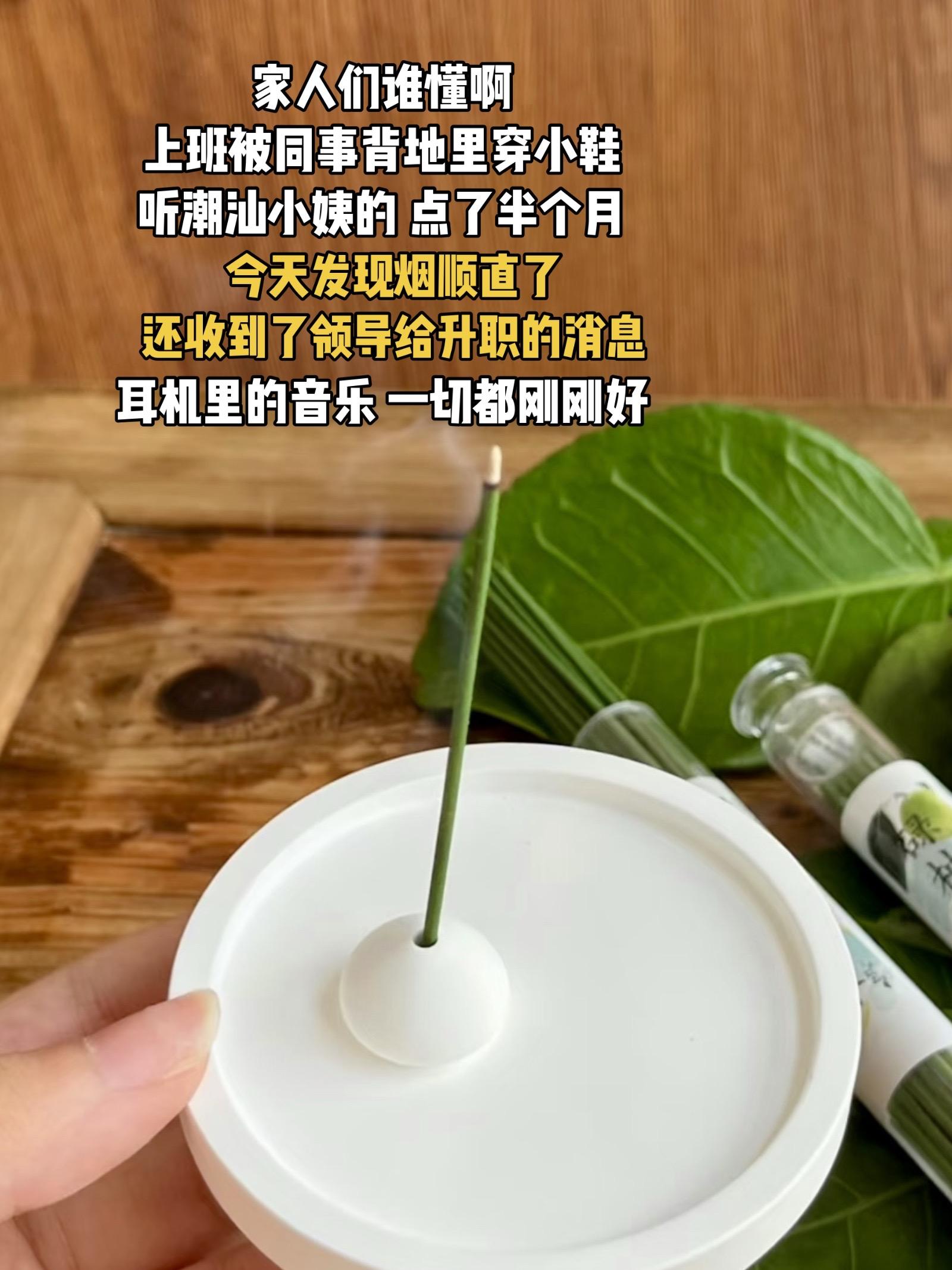 听说碌柚叶是广东省省叶。低能量女生真的锁死#强烈推荐
