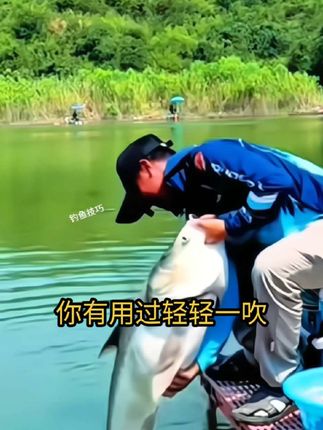 #旋转轴承钩 #翻板钩 #鱼钩 #浮钓鲢鳙 #钓大鱼