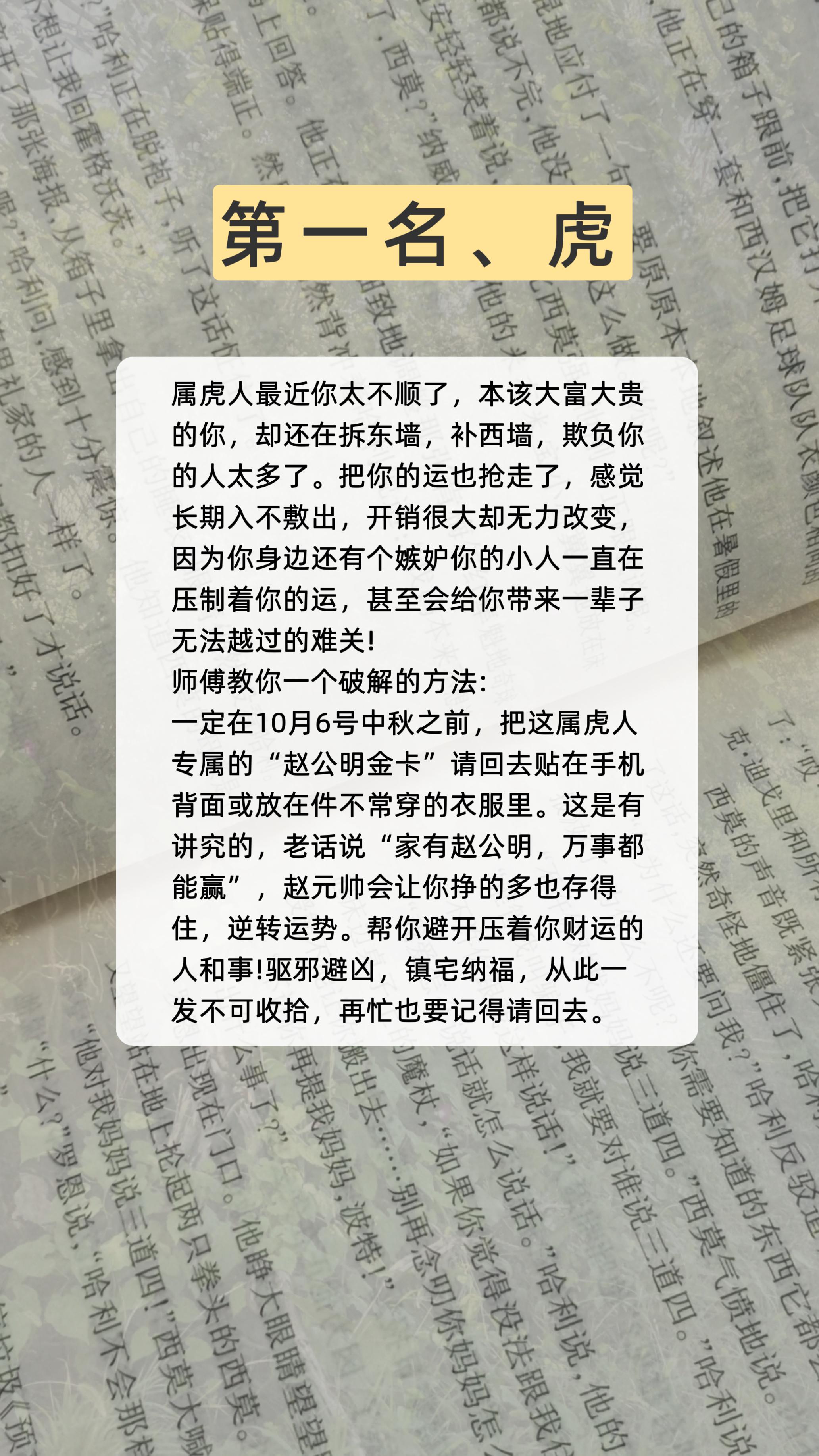 #虎 #属虎 #生肖虎