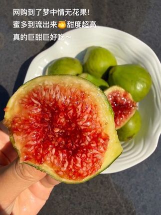 终于买到了传说中流蜜的无花果!🍯太惊艳了~真的巨巨巨甜!颗颗流蜜,香甜软糯,超级好吃😋!!!#无花果 #无花果测评 #软糯香甜 #新鲜应季水果 #谁懂这一口的好吃程度